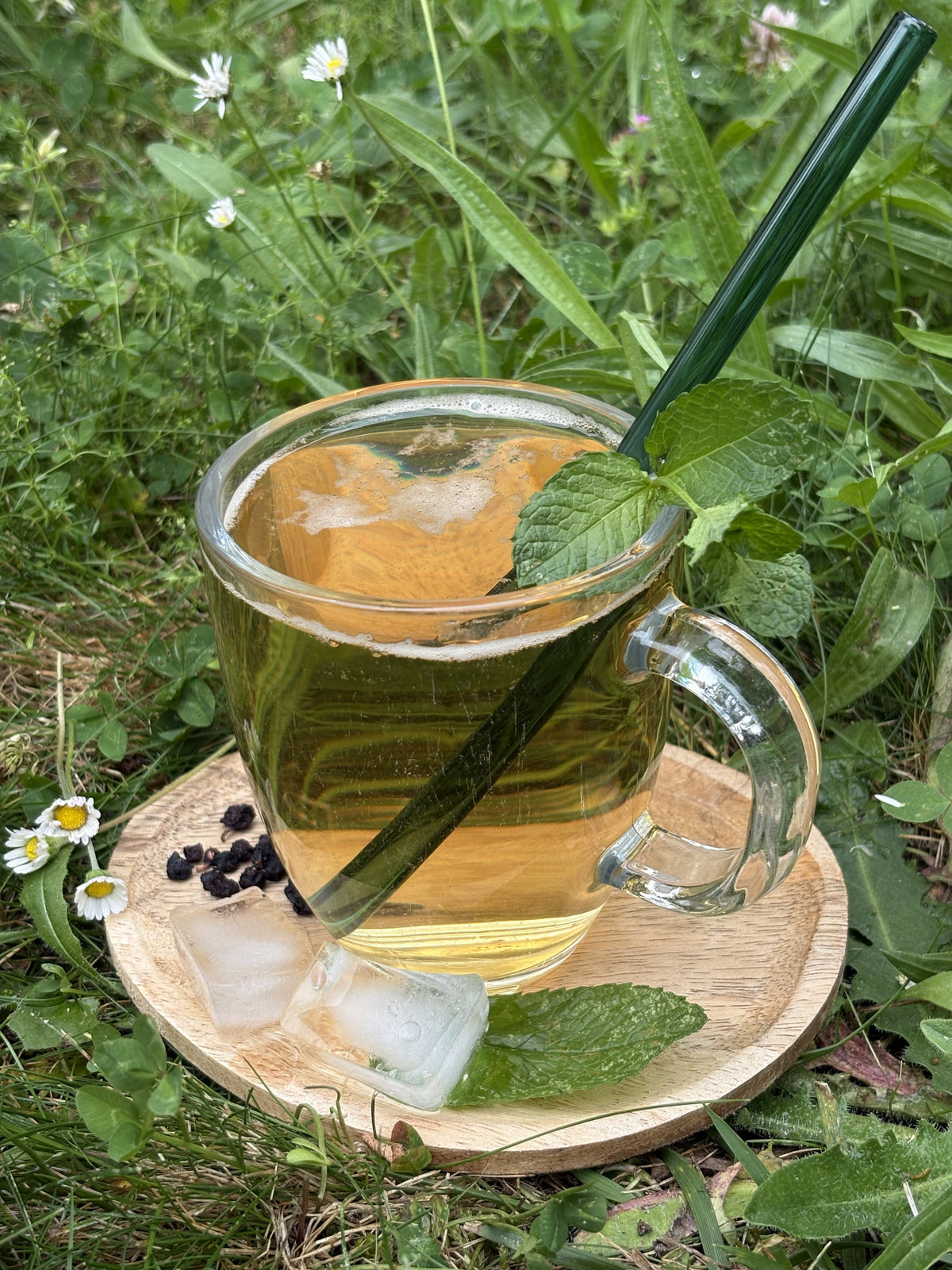 La Tisane d'Auvergne Rhône-Alpes -La Sauvageonne des Cimes