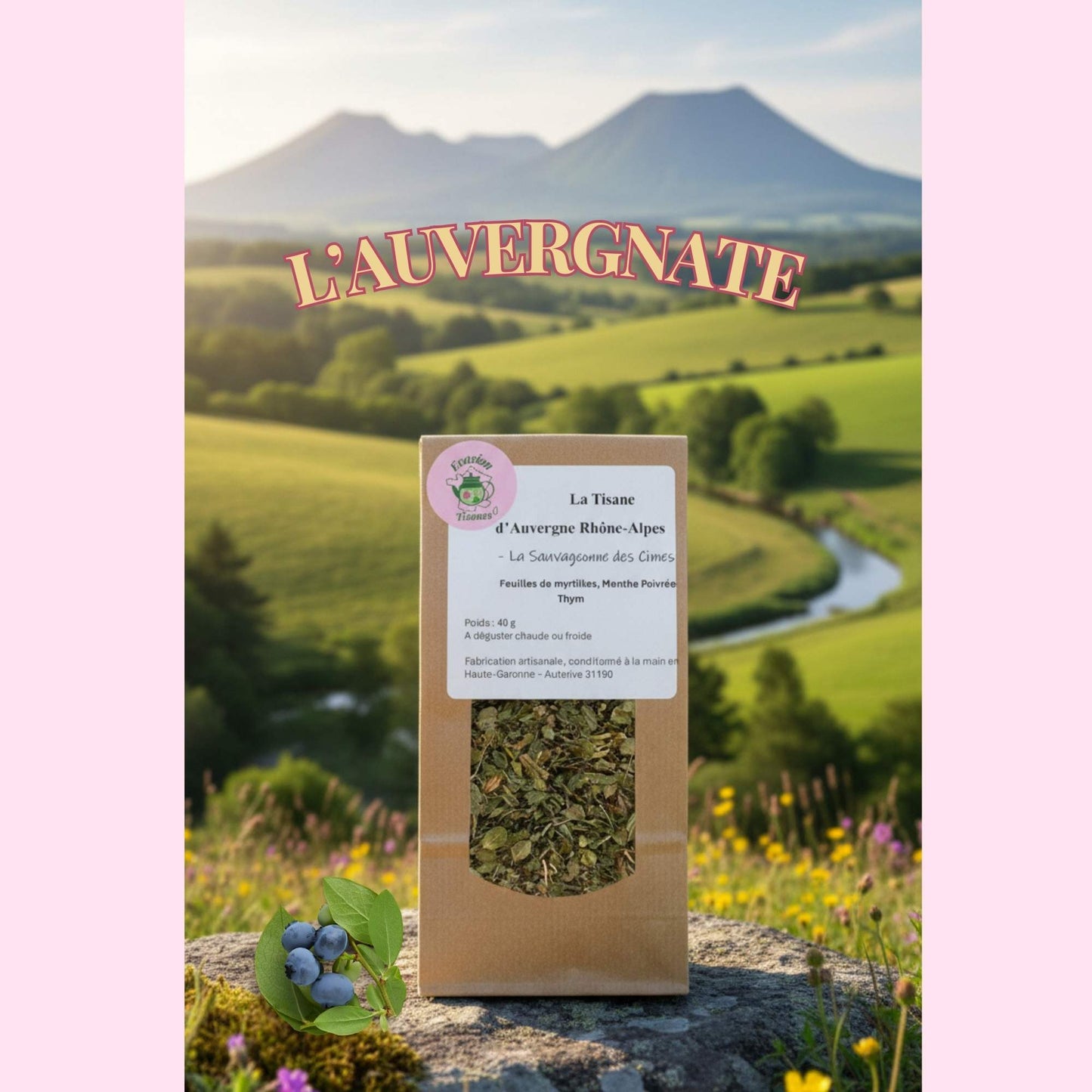 La Tisane d'Auvergne Rhône-Alpes -La Sauvageonne des Cimes